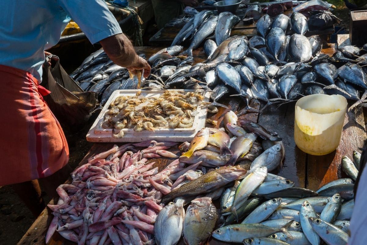 boma nha trang - Vinh Luong and Binh Tan Seafood Markets